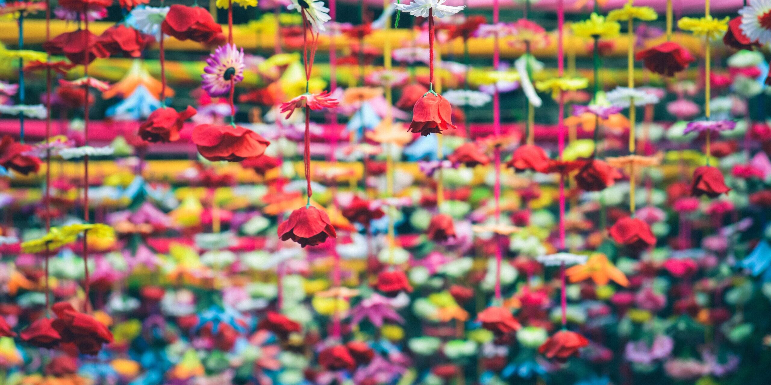 nikunj-gupta-224168-unsplash