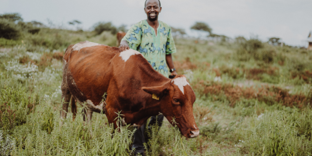 Screenshot 2020-08-07 at 11.11.35 AM