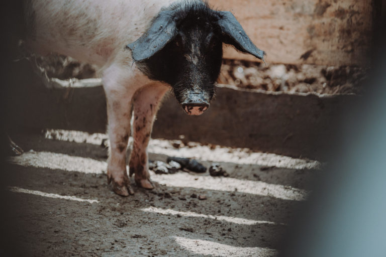 F2B06702-8189-4239-A276-EF0B0C827C2E